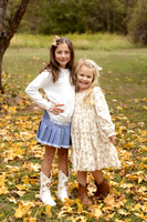 C08A5307 copy