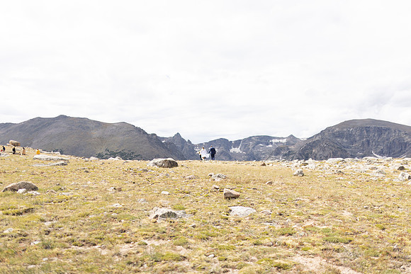C08A3934ELOPEMENT