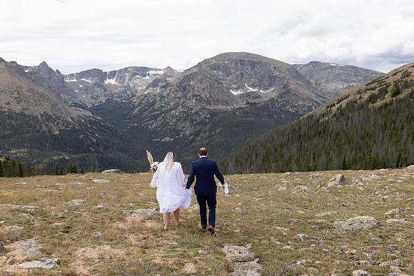 C08A3950ELOPEMENT