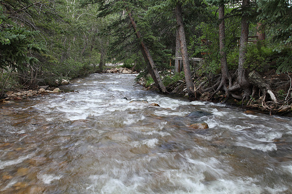 IMG_3998