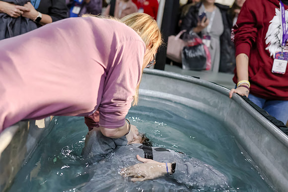 C08A6867 A2B BAPTISM