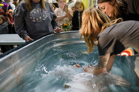 C08A7275 A2B BAPTISM